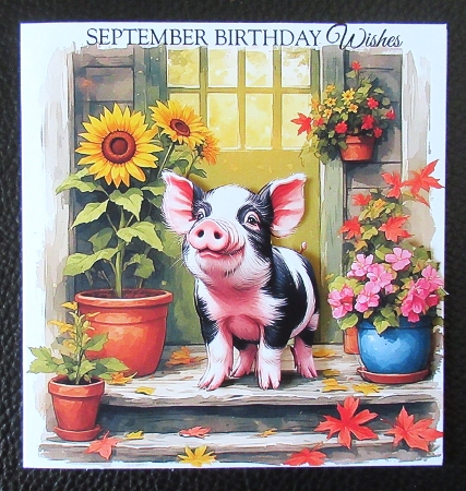 Piglets by Davina Rundle
