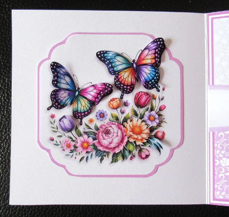5x7 6x6 BUTTERFLIES by Davina Rundle