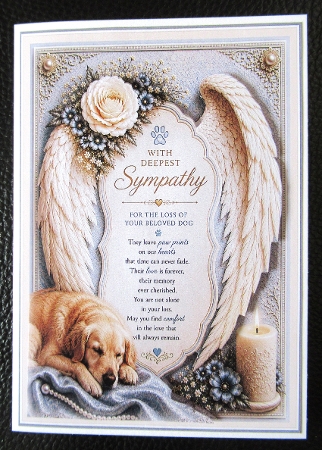 Paw Prints On My Heart by Davina Rundle