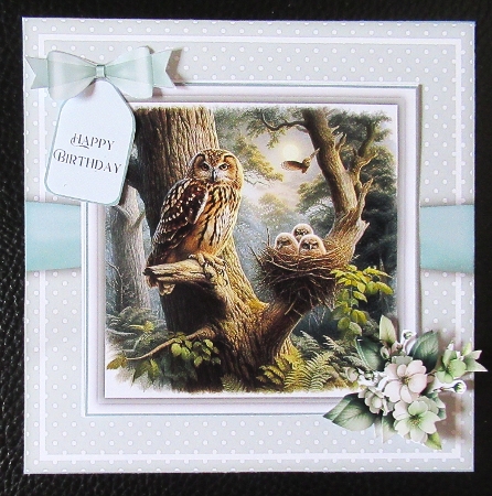 British Nocturnal Wildlife - 6x6 and 5x7 by Davina Rundle