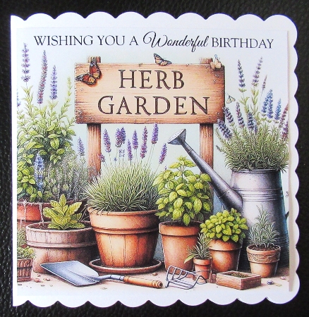 Herb Garden by Davina Rundle