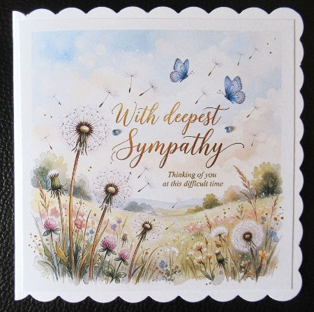 Sympathy  by Davina Rundle