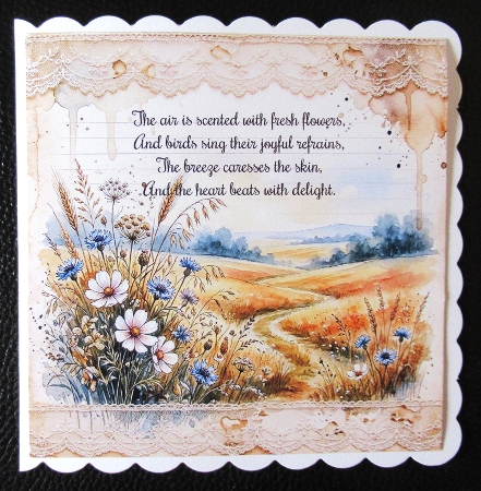 Summer fields  by Davina Rundle