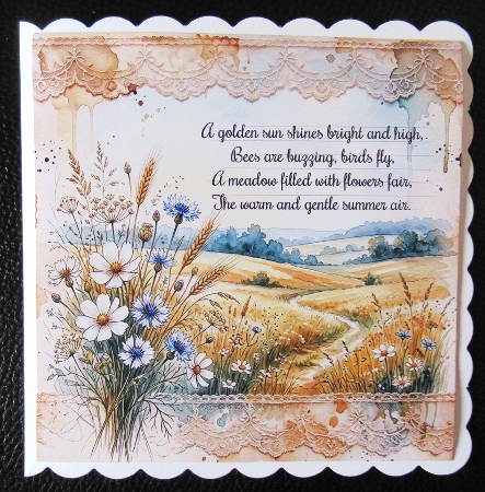 Summer fields  by Davina Rundle