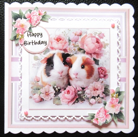 Glorious Guinea Pigs by Davina Rundle
