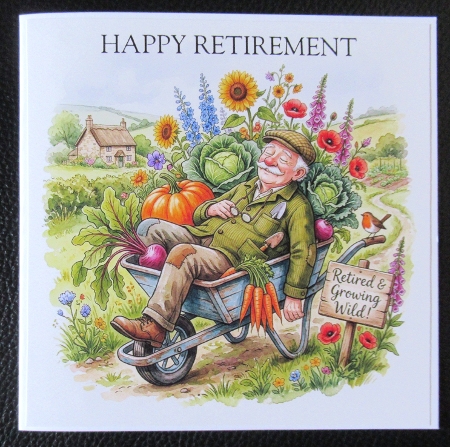 Humorous Retirement collection Male 2 by Davina Rundle