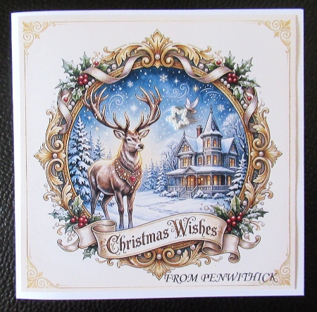 Christmas wishes  by Davina Rundle