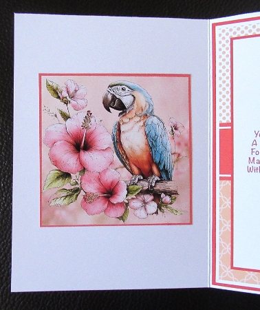 Macaws Mini Kit 5x7 (3) by Davina Rundle