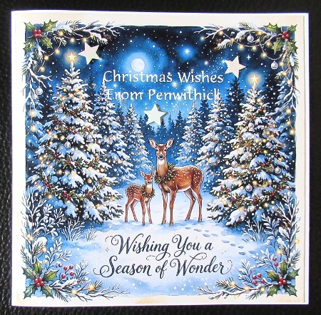 Big bundle festive wishes  by Davina Rundle