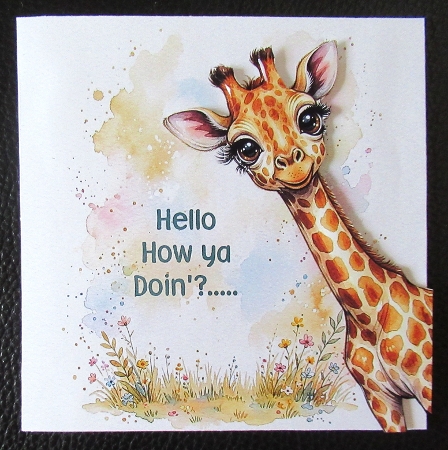 Large mixed animal bundle  by Davina Rundle