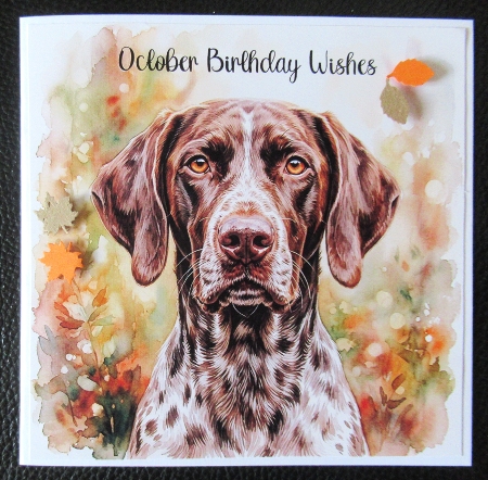 Purfect portraits 2 by Davina Rundle