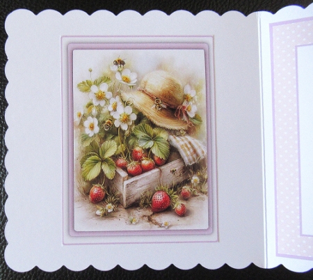 Strawberry Summer by Davina Rundle