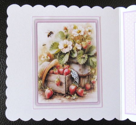Strawberry Summer by Davina Rundle