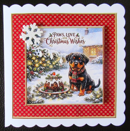 Paws Love & Christmas wishes 2 by Davina Rundle