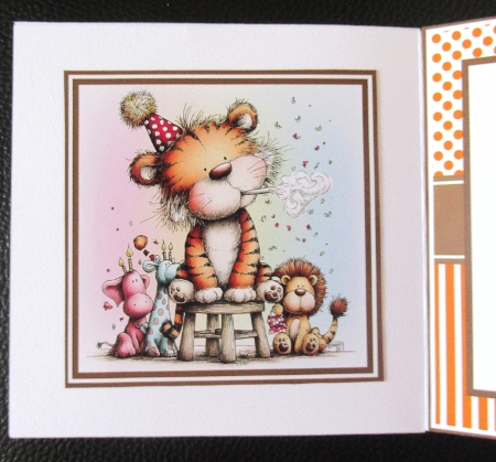 Birthday Tiger Mini Kit 7x7 (5) by Davina Rundle