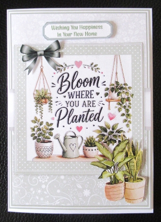 LOVE PLANTS by Davina Rundle