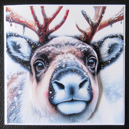 Reindeer Winter Christmas by Davina Rundle
