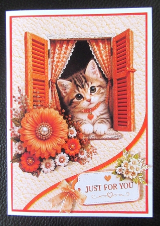Cute Kitten in Orange Window Just For You Card Topper by Davina Rundle