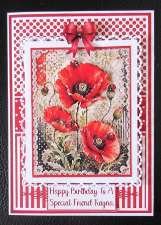 Poppies Mini Kit 5x7 (3) by Davina Rundle
