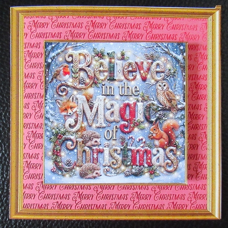 Believe in the magic of Christmas  by Davina Rundle