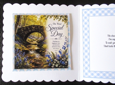 Down in Bluebell Wood by Davina Rundle