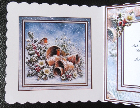 Minikit Winter Robins by Davina Rundle