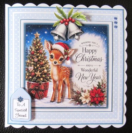 Christmas Wishes and Animal Kisses by Davina Rundle