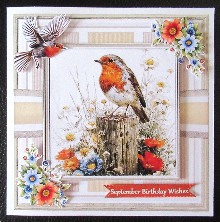 A Robins Perch by Davina Rundle