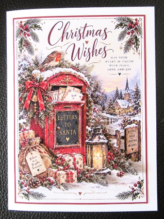 Christmas Wishes  by Davina Rundle