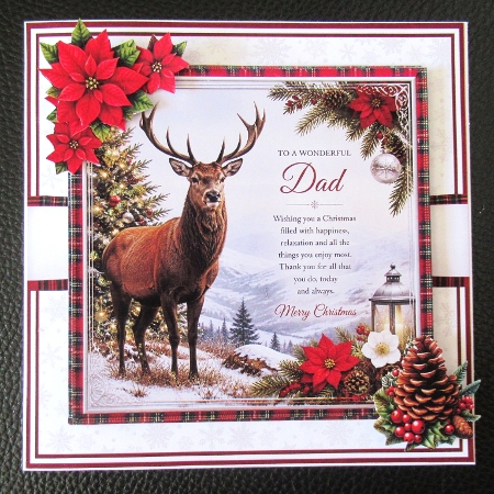 CHRISTMAS DAD 5x7 6x6 by Davina Rundle