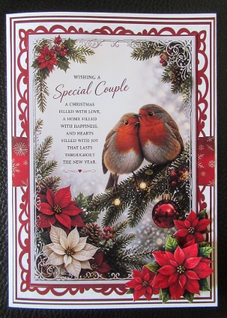 SPECIAL COUPLE - ROBINS 6X6 5X7 by Davina Rundle