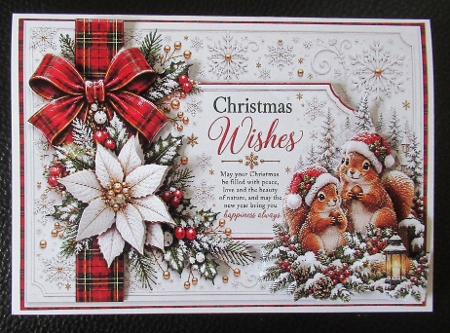 A Woodland Christmas Wish by Davina Rundle