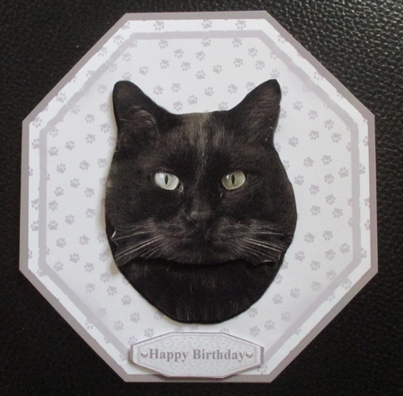 Black Cat Plate Shaped Card and Stand by Davina Rundle