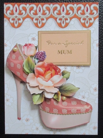 Beige Flowers and Leaves with Ornate Border Duo Paper by Davina Rundle