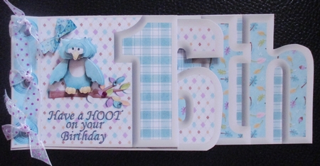 Have a Hoot on Your Birthday 16th Number Book by Davina Rundle