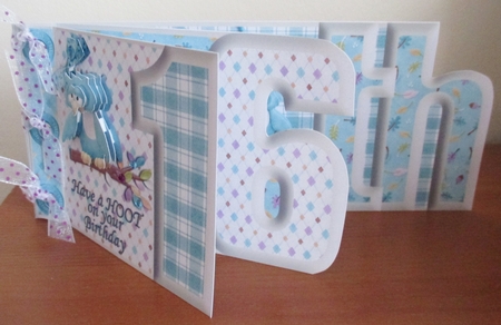 Have a Hoot on Your Birthday 16th Number Book by Davina Rundle