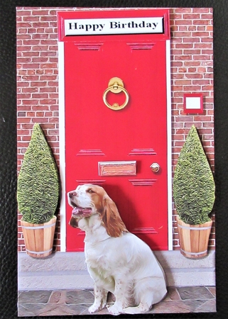 Welsh Springer Spaniel with a Red Door by Davina Rundle