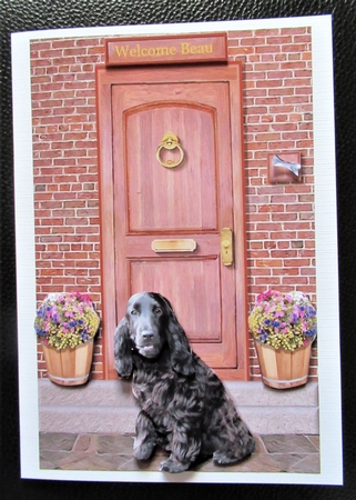 Cocker Spaniel ,black on a Doorstep by Davina Rundle