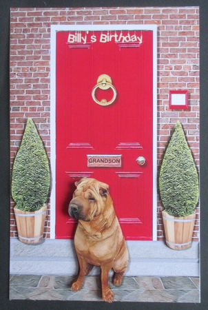 Shar Pei with a Red Door by Davina Rundle