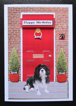 Cavalier King Charles Spaniel with a Red Door by Davina Rundle