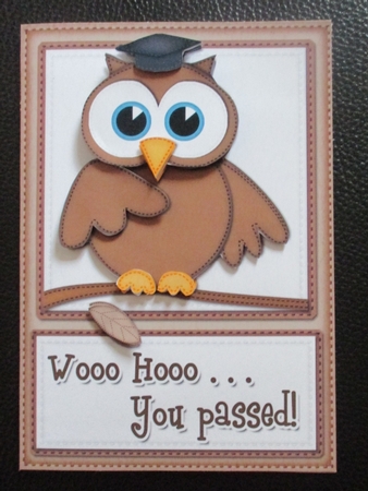 A5 Wise Owl Exam Congrats Felties Quick Card 3D Decoupage by Davina Rundle