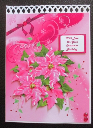 Pink Poinsettias on Pink by Davina Rundle