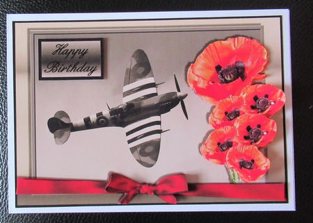 Spitfire . . . Remember When by Davina Rundle
