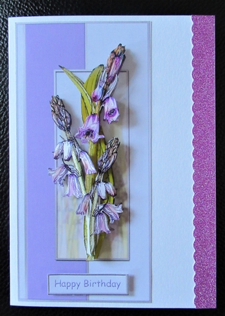 Bluebells in Pink by Davina Rundle