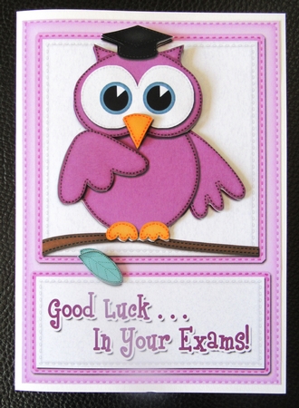 A5 Wise Owl Good Luck Exam Felties Quick Card 3D Decoupage by Davina Rundle