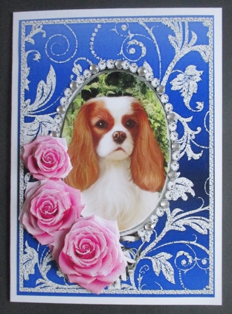Pink Roses - King Charles Spaniel- Silver Blue Card Front by Davina Rundle