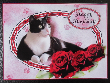 Black and White Cat with Red Roses Happy Birthday by Davina Rundle