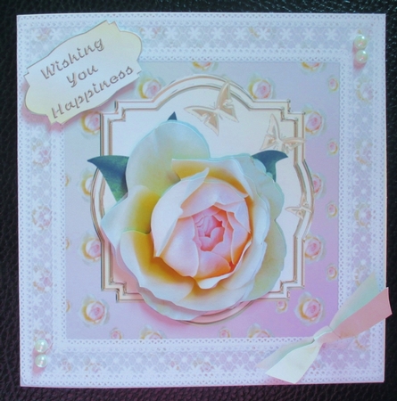 Flowers and Lace - One Perfect Rose by Davina Rundle