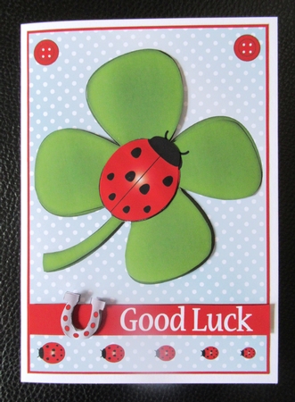 Good Luck Ladybird by Davina Rundle