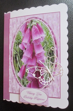 Foxgloves by Davina Rundle
